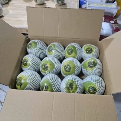 Vietforce Agro