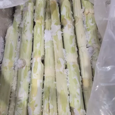 Vietforce Agro