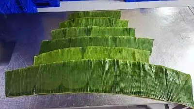 LÁ CHUÔI ĐÔNG LẠNH/ FROZEN BANANA LEAVES