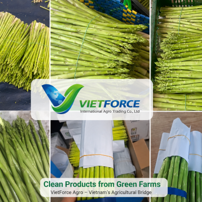 Vietforce Agro